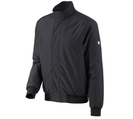 https://cdn.strauss.com/at/assets/sdexporter/images/DetailPageShopify/product/2.Release.3134160/Pilotenjacke_e_s_concrete-238254-0-637934045410211972.png