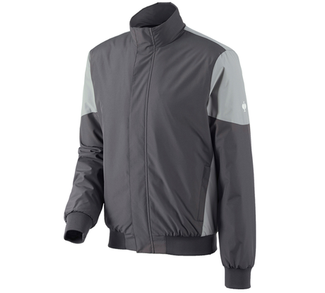 https://cdn.strauss.com/at/assets/sdexporter/images/DetailPageShopify/product/2.Release.3134160/Pilotenjacke_e_s_concrete-238255-0-637934045410368225.png