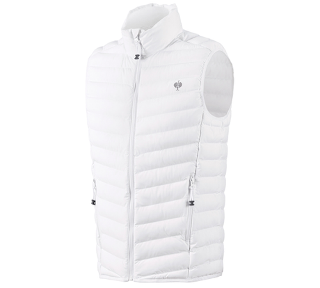 https://cdn.strauss.com/at/assets/sdexporter/images/DetailPageShopify/product/2.Release.3140480/Weste_e_s_motion_ten-218082-0-637758505411216282.png