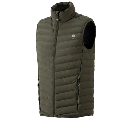 https://cdn.strauss.com/at/assets/sdexporter/images/DetailPageShopify/product/2.Release.3140480/Weste_e_s_motion_ten-218085-0-637758505411216282.png