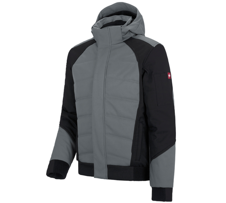 https://cdn.strauss.com/at/assets/sdexporter/images/DetailPageShopify/product/2.Release.3131290/Winter_Softshelljacke_e_s_vision-94118-1-637679722156570782.png