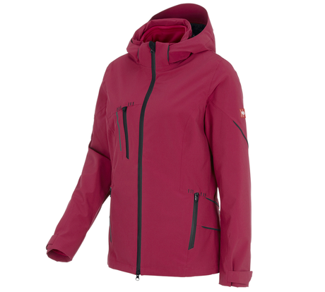 https://cdn.strauss.com/at/assets/sdexporter/images/DetailPageShopify/product/2.Release.3130150/3_in_1_Funktionsjacke_e_s_vision_Damen-26612-2-637753331685883956.png