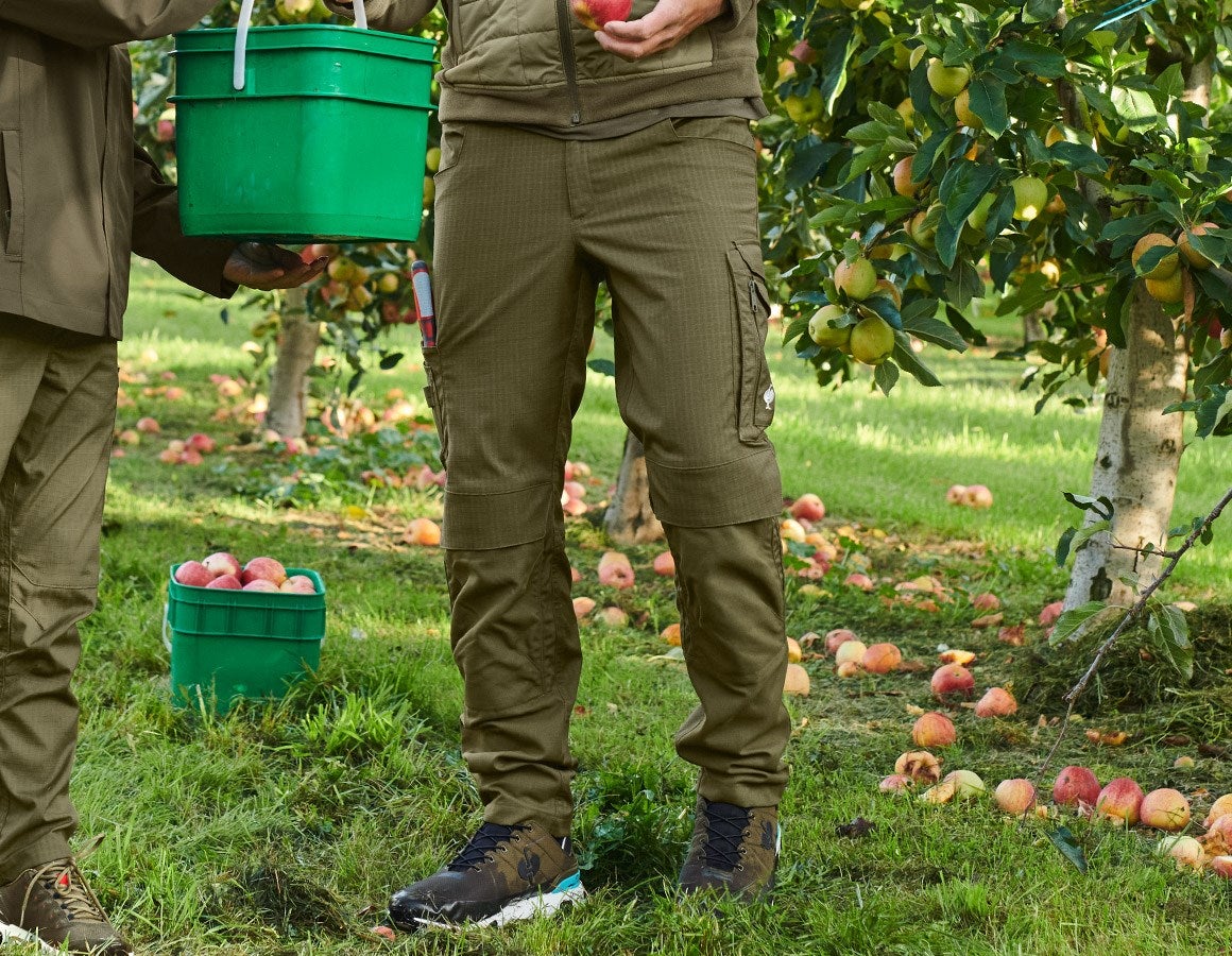 Main action image Trousers e.s.concrete solid mudgreen