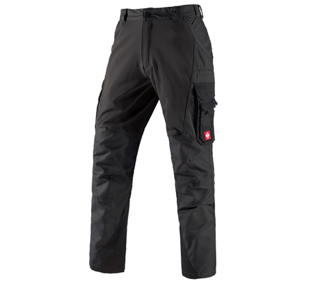 https://cdn.strauss.com/at/assets/sdexporter/images/DetailPageShopify/product/2.Release.3160390/Cargohose_e_s_comfort-8974-3-637801703748349135.png