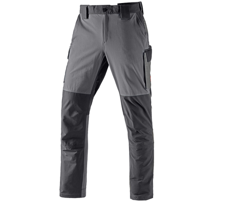 Primary image Functional cargo trousers e.s.dynashield cement/graphite