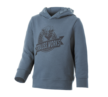 https://cdn.strauss.com/at/assets/sdexporter/images/DetailPageShopify/product/2.Release.3107470/Hoody-Sweatshirt_e_s_iconic_works_Kinder-287718-0-638562140940838830.png