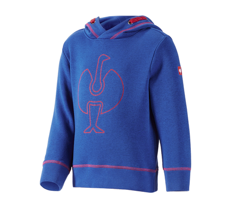 https://cdn.strauss.com/at/assets/sdexporter/images/DetailPageShopify/product/2.Release.3106030/Hoody-Sweatshirt_e_s_motion_2020_Kinder-209218-0-637630529896733425.png