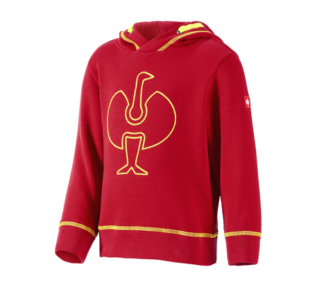 https://cdn.strauss.com/at/assets/sdexporter/images/DetailPageShopify/product/2.Release.3106030/Hoody-Sweatshirt_e_s_motion_2020_Kinder-209219-0-637630529896733425.png