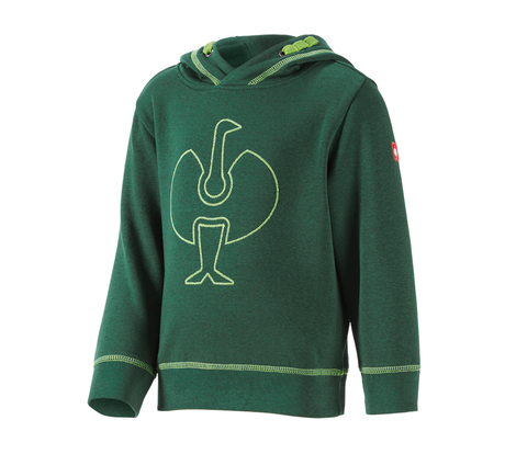 https://cdn.strauss.com/at/assets/sdexporter/images/DetailPageShopify/product/2.Release.3106030/Hoody-Sweatshirt_e_s_motion_2020_Kinder-209950-0-637635792688119438.png