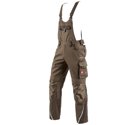 https://cdn.strauss.com/at/assets/sdexporter/images/DetailPageShopify/product/2.Release.3320480/Latzhose_e_s_motion-9276-2-637822498945155743.png
