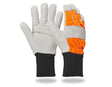 https://cdn.strauss.com/at/assets/sdexporter/images/DetailPageShopify/product/2.Release.2000330/Leder-Forst-_Schnittschutzhandschuhe-151009-1-637498337377774053.jpg