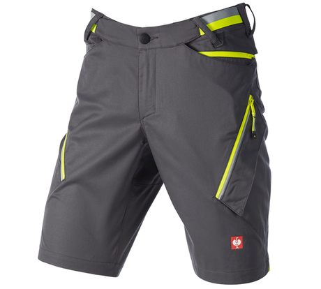 https://cdn.strauss.com/at/assets/sdexporter/images/DetailPageShopify/product/2.Release.3350840/Multipocket-Short_e_s_ambition-281356-0-638439357312186167.png