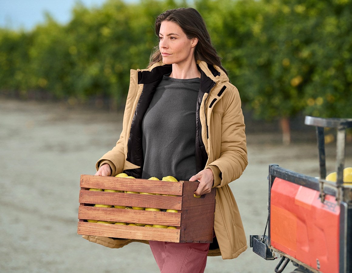 Additional image 7 Parka e.s.iconic, ladies' almondbrown