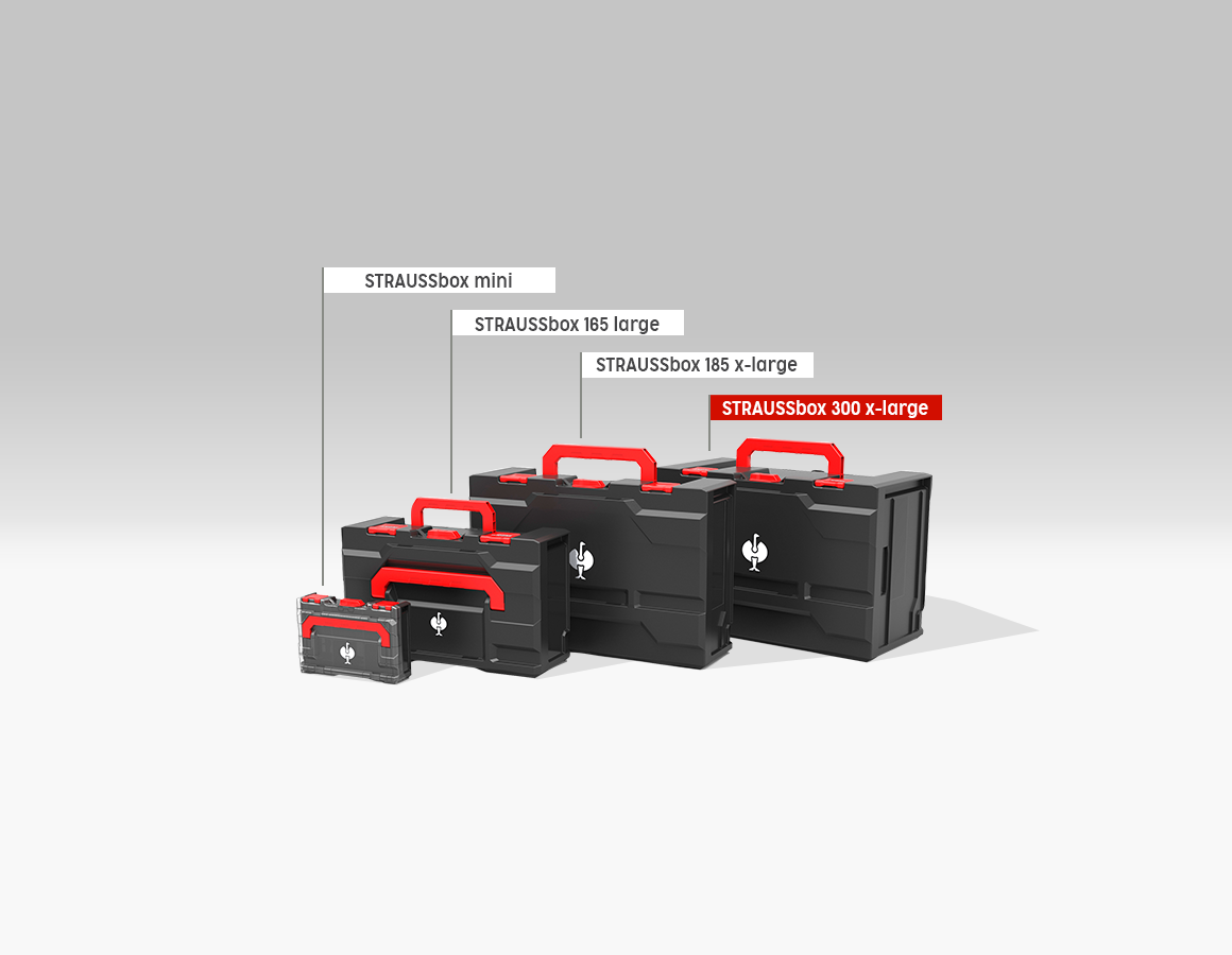 Additional image 1 STRAUSSbox 300 x-large undefined