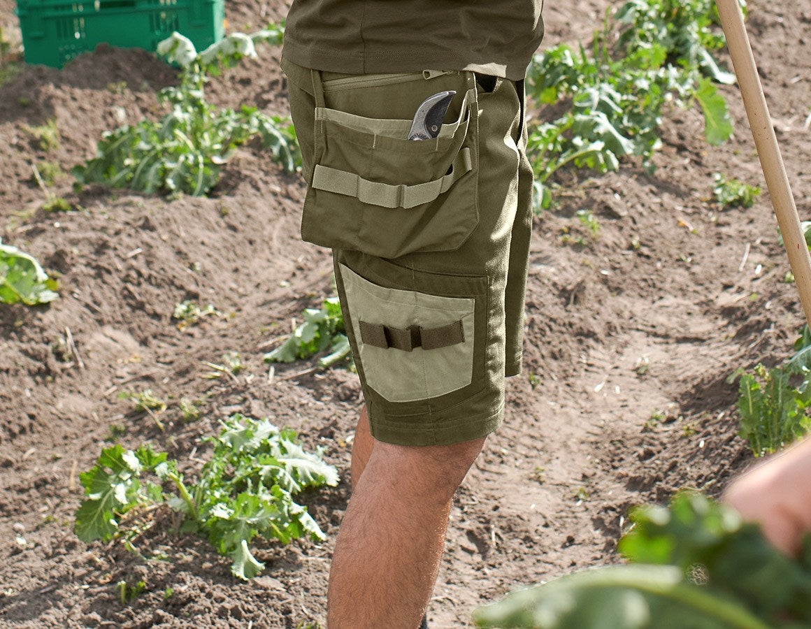Additional image 2 Shorts e.s.concrete light mudgreen/stipagreen