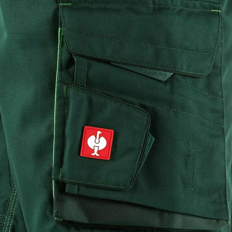 Detailed image Shorts e.s.motion 2020 green/seagreen
