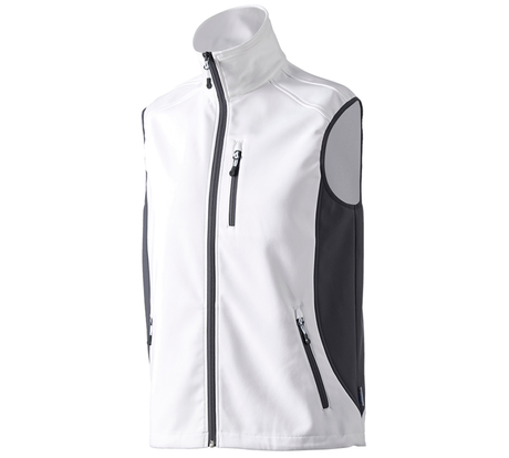Primary image Softshell bodywarmer dryplexx® softlight white/grey