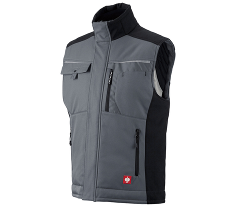 Primary image Softshell bodywarmer e.s.motion grey/black