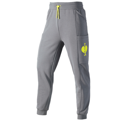 https://cdn.strauss.com/at/assets/sdexporter/images/DetailPageShopify/product/2.Release.3311920/Sweat_Pants_e_s_trail-237009-0-637921075172011401.png