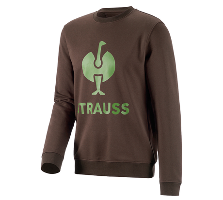 Primary image Sweatshirt e.s.motion 2020 chestnut/seagreen