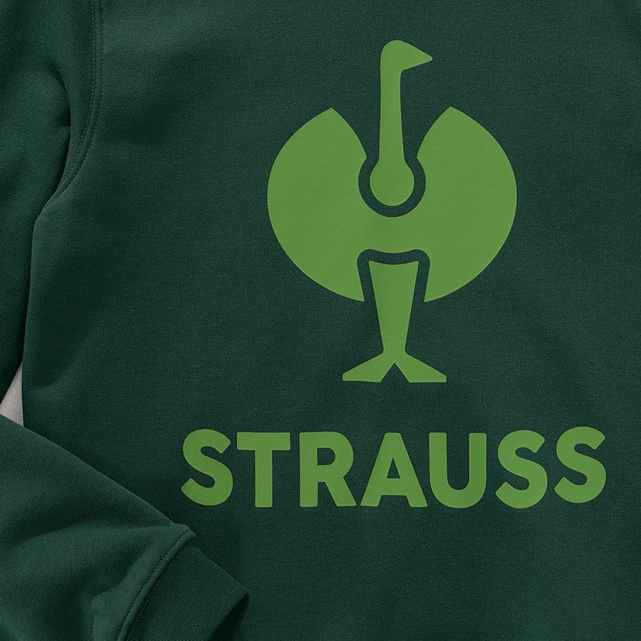 Detailed image Sweatshirt e.s.motion 2020 green/seagreen