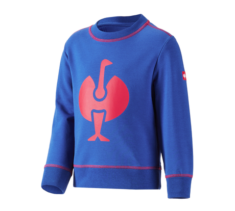 https://cdn.strauss.com/at/assets/sdexporter/images/DetailPageShopify/product/2.Release.3106010/Sweatshirt_e_s_motion_2020_Kinder-209232-0-637630524292611567.png