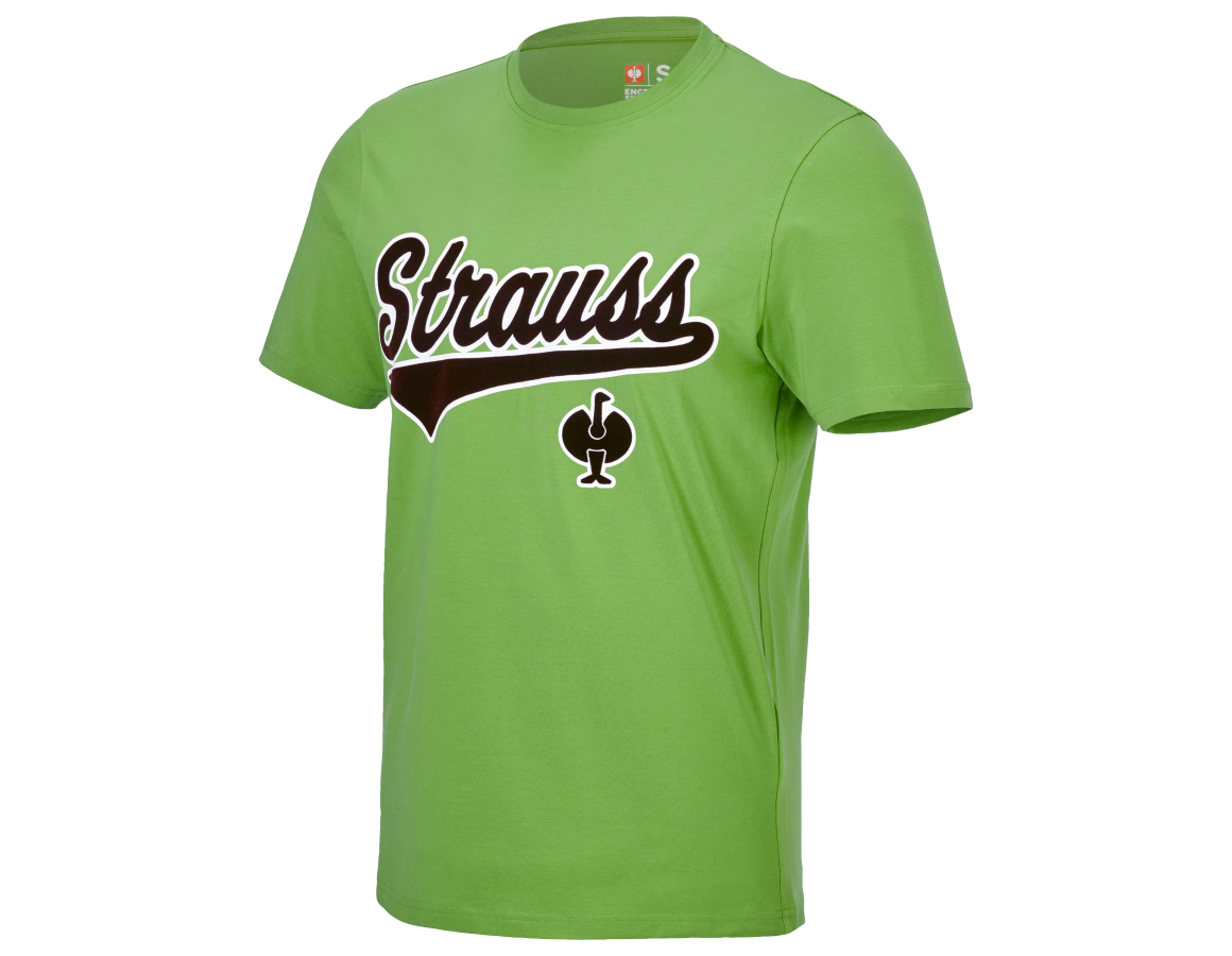 Primary image T-shirt e.s.e:pic seagreen/chestnut