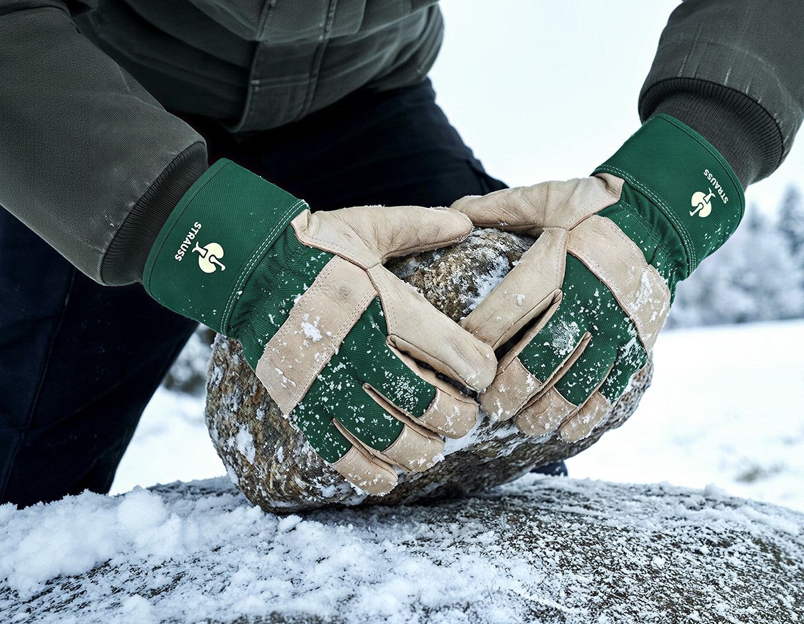 Main action image Full leather winter gloves Grönland 10