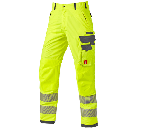 https://cdn.strauss.com/at/assets/sdexporter/images/DetailPageShopify/product/2.Release.3210430/Warnschutz-Funktionsbundhose_e_s_prestige-9067-4-637862134155040463.png