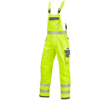 https://cdn.strauss.com/at/assets/sdexporter/images/DetailPageShopify/product/2.Release.3210440/Warnschutz-Funktionslatzhose_e_s_prestige-49058-1-638440348057296016.png