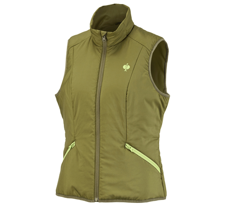 https://cdn.strauss.com/at/assets/sdexporter/images/DetailPageShopify/product/2.Release.3140570/Weste_e_s_trail_Damen-272396-0-638242358928220554.png