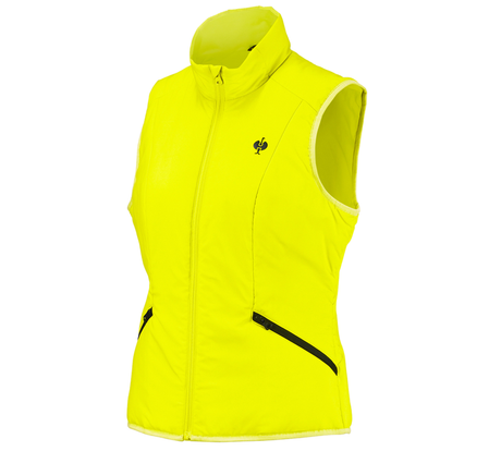 https://cdn.strauss.com/at/assets/sdexporter/images/DetailPageShopify/product/2.Release.3140570/Weste_e_s_trail_Damen-272481-0-638248526900411509.png