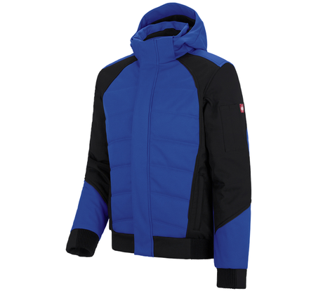 https://cdn.strauss.com/at/assets/sdexporter/images/DetailPageShopify/product/2.Release.3131290/Winter_Softshelljacke_e_s_vision-94119-1-637679721726635572.png