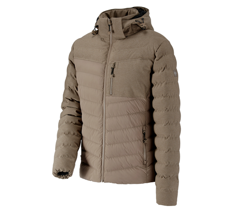 https://cdn.strauss.com/at/assets/sdexporter/images/DetailPageShopify/product/2.Release.3132750/Winterjacke_e_s_motion_ten-157252-1-637635050851622801.png