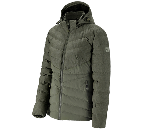 https://cdn.strauss.com/at/assets/sdexporter/images/DetailPageShopify/product/2.Release.3133460/Winterjacke_e_s_motion_ten_Damen-184473-1-637589252666830063.png