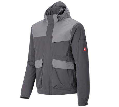 https://cdn.strauss.com/at/assets/sdexporter/images/DetailPageShopify/product/2.Release.3134930/Winterjacke_e_s_trail_pure-288018-0-638573244546168173.png