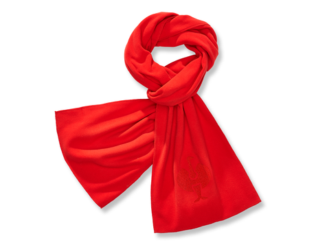 https://cdn.strauss.com/at/assets/sdexporter/images/DetailPageShopify/product/2.Release.3400560/e_s_FIBERTWIN_microfleece_Schal-37840-1-637818917555228480.png