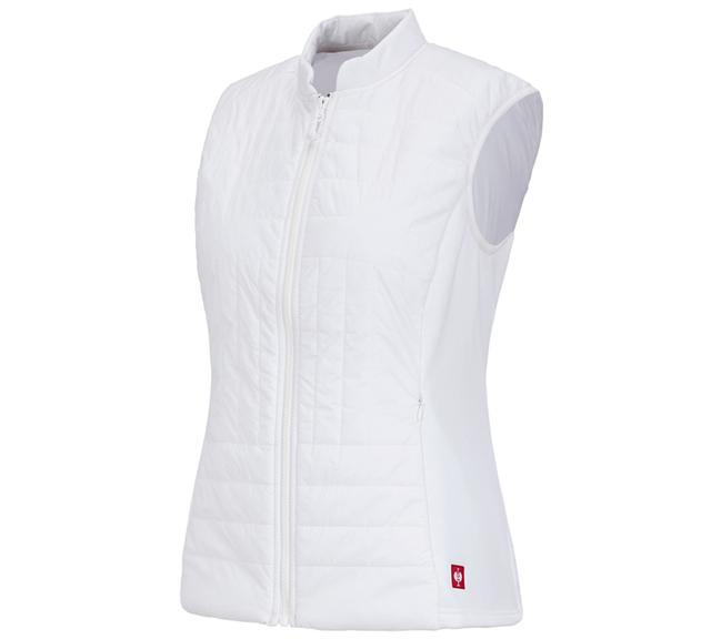 https://cdn.strauss.com/at/assets/sdexporter/images/DetailPageShopify/product/2.Release.3140060/e_s_Funktions_Steppweste_thermo_stretch_Damen-56769-1-637800164726133589.png