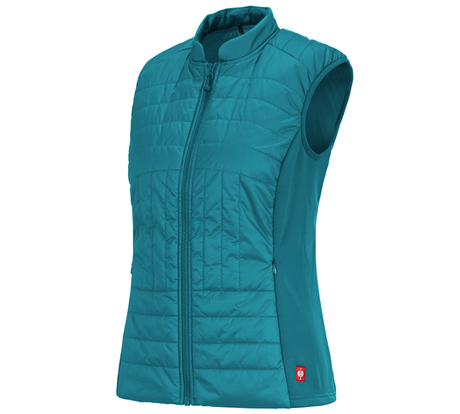 https://cdn.strauss.com/at/assets/sdexporter/images/DetailPageShopify/product/2.Release.3140060/e_s_Funktions_Steppweste_thermo_stretch_Damen-56772-1-637800164468633405.png