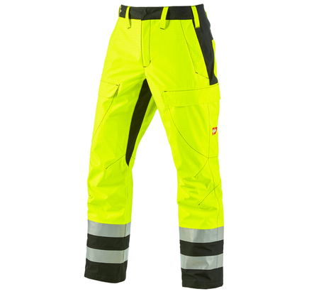 https://cdn.strauss.com/at/assets/sdexporter/images/DetailPageShopify/product/2.Release.3210870/e_s_Wetterschutzbundhose_multinorm_high-vis-202238-0-637641117600945609.png